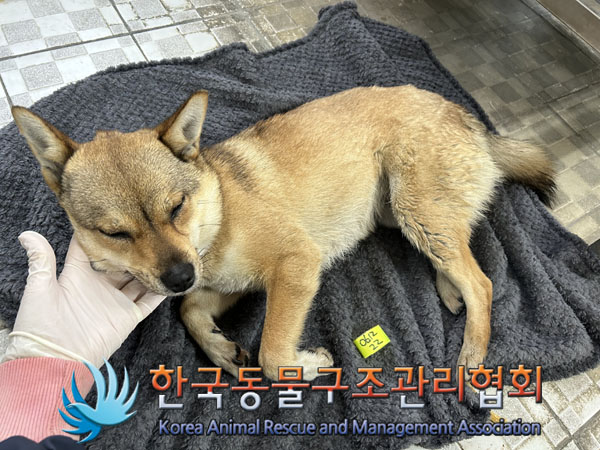 한국동물구조관리협회_441409202300956